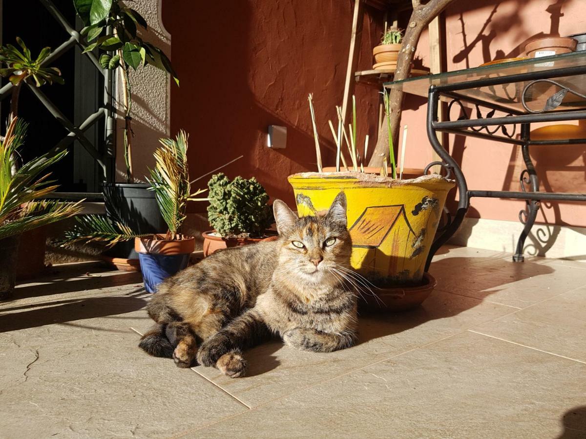 Gato Preto De - Adults Only Bed & Breakfast