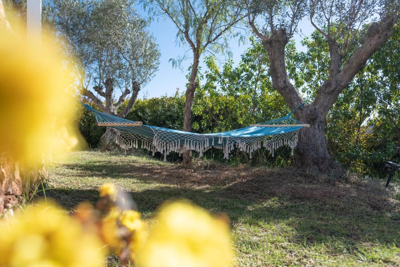 Gato Preto De - Adults Only Silves